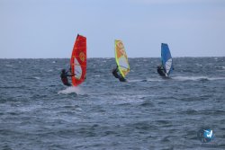 20221125-Franqui-054.JPG