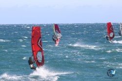 20221210-Cypriano-003.JPG