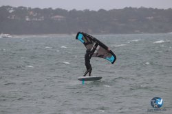 20221231-Arbousiers-003.JPG