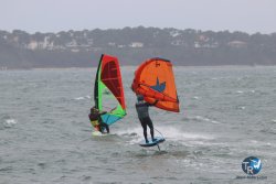 20221231-Arbousiers-004.JPG