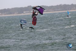 20221231-Arbousiers-075.JPG