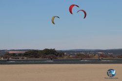20230219-Franqui-Wing-005.jpg