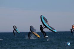20230219-Franqui-Wing-017.jpg