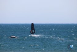 20230219-Franqui-Wing-033.jpg