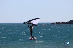 20230219-Franqui-Wing-036.jpg