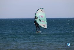 20230219-Franqui-Wing-049.jpg