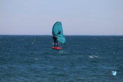 20230219-Franqui-Wing-066.jpg
