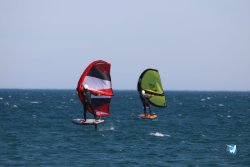 20230219-Franqui-Wing-088.jpg