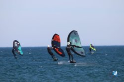 20230219-Franqui-Wing-125.jpg