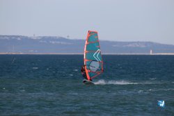 20230219-Franqui-Wing-152.jpg