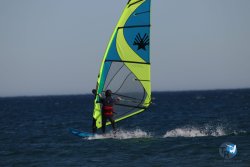 20230219-Franqui-Wing-226.jpg