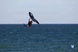 20230219-Franqui-Wing-240.jpg
