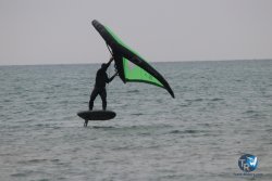 20230226-wing-franqui-002.jpg