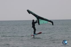 20230226-wing-franqui-003.jpg