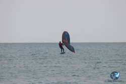 20230226-wing-franqui-004.jpg