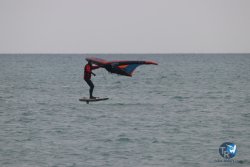 20230226-wing-franqui-005.jpg