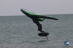 20230226-wing-franqui-015.jpg