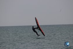 20230226-wing-franqui-017.jpg