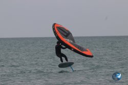 20230226-wing-franqui-018.jpg