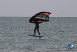 20230226-wing-franqui-019.jpg