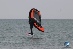 20230226-wing-franqui-021.jpg