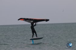 20230226-wing-franqui-023.jpg