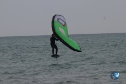 20230226-wing-franqui-024.jpg