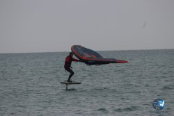 20230226-wing-franqui-025.jpg