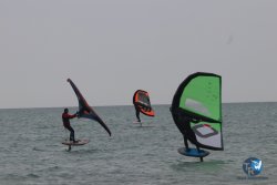 20230226-wing-franqui-026.jpg