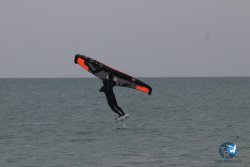 20230226-wing-franqui-028.jpg