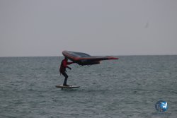 20230226-wing-franqui-036.jpg