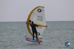 20230226-wing-franqui-037.jpg