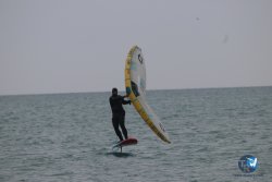 20230226-wing-franqui-038.jpg