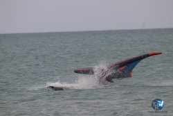 20230226-wing-franqui-041.jpg