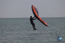 20230226-wing-franqui-044.jpg