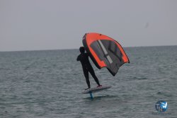 20230226-wing-franqui-045.jpg