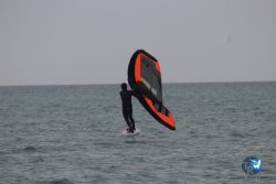 20230226-wing-franqui-046.jpg