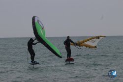 20230226-wing-franqui-051.jpg