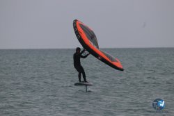 20230226-wing-franqui-053.jpg