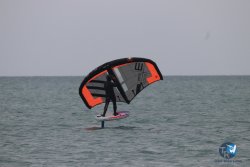 20230226-wing-franqui-054.jpg