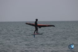20230226-wing-franqui-058.jpg