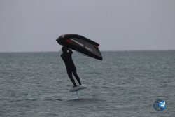 20230226-wing-franqui-060.jpg