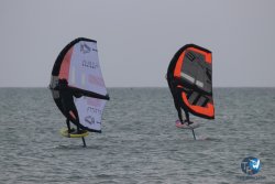 20230226-wing-franqui-062.jpg