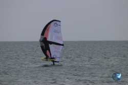 20230226-wing-franqui-063.jpg