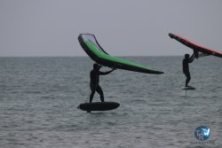 20230226-wing-franqui-065.jpg