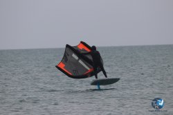 20230226-wing-franqui-066.jpg
