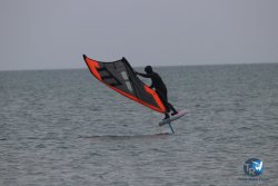20230226-wing-franqui-068.jpg