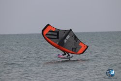 20230226-wing-franqui-069.jpg