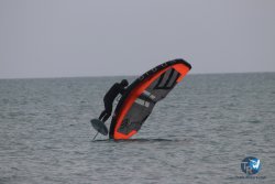 20230226-wing-franqui-071.jpg