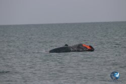 20230226-wing-franqui-074.jpg